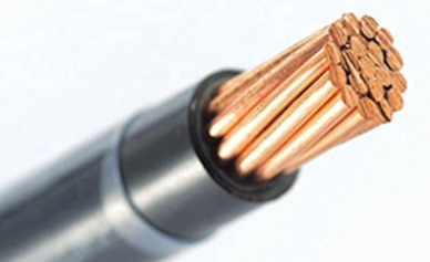 未 命名 图片-2023-05-19T131359.810