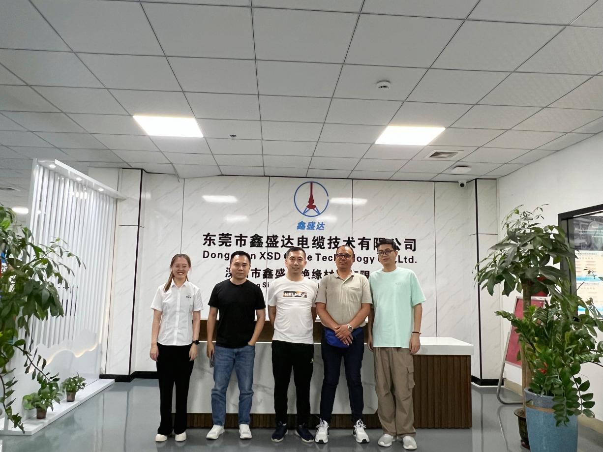 Кабель XSD: демонстрация исключительных возможностей для обработки проводов и кабеля