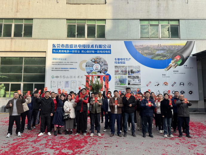 XSD Cable начинает 2025 год - год роста и успеха!