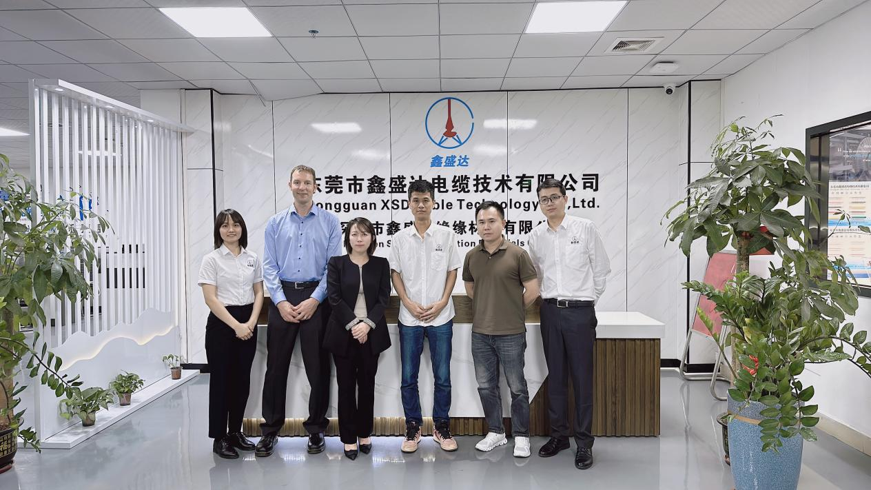 Успешное сотрудничество между кабелем XSD и немецким новым энергетическим клиентом