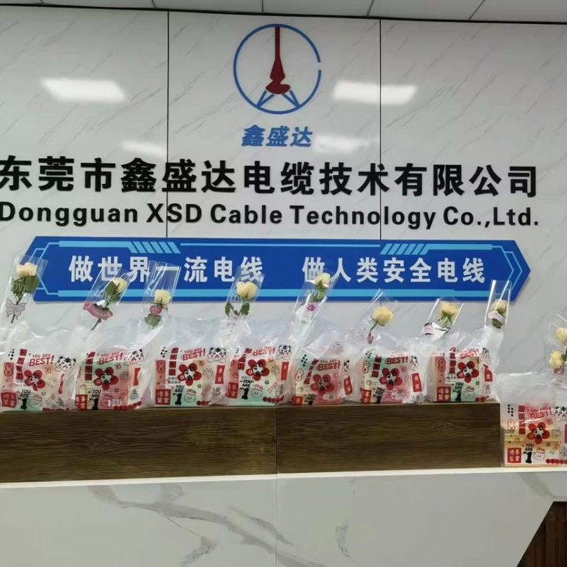 Празднование наших женщин в рабочей силе: Международный женский день в XSD Cable